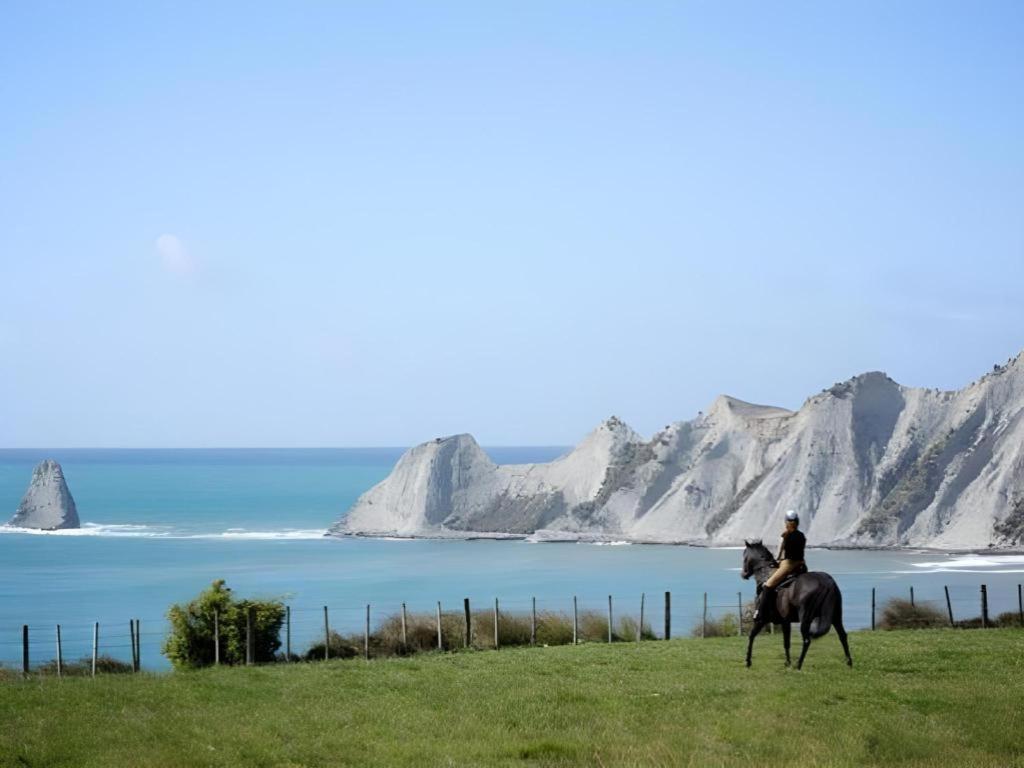 Stables Lodge Backpackers Napier Εξωτερικό φωτογραφία