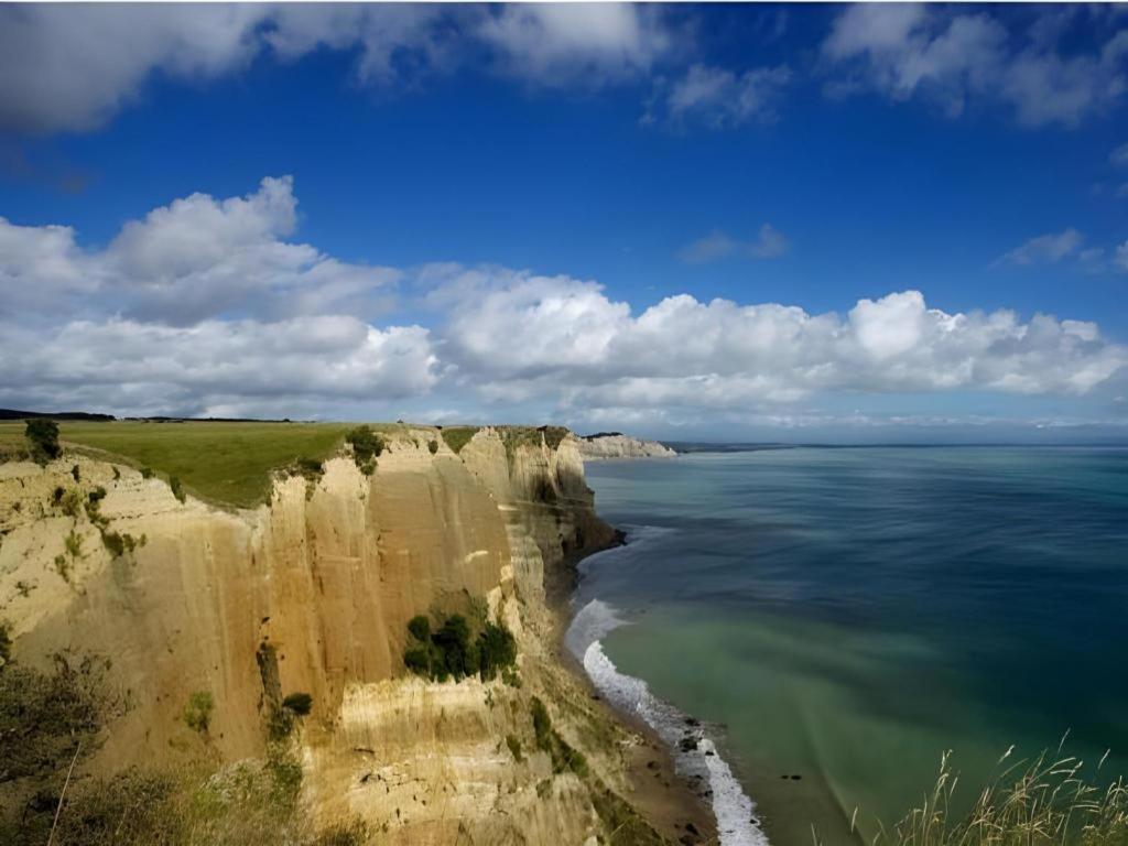 Stables Lodge Backpackers Napier Εξωτερικό φωτογραφία