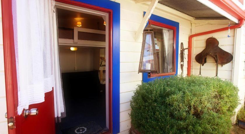 Stables Lodge Backpackers Napier Εξωτερικό φωτογραφία