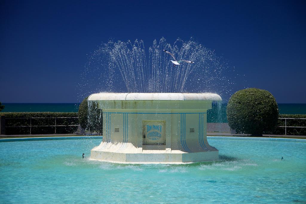 Stables Lodge Backpackers Napier Εξωτερικό φωτογραφία